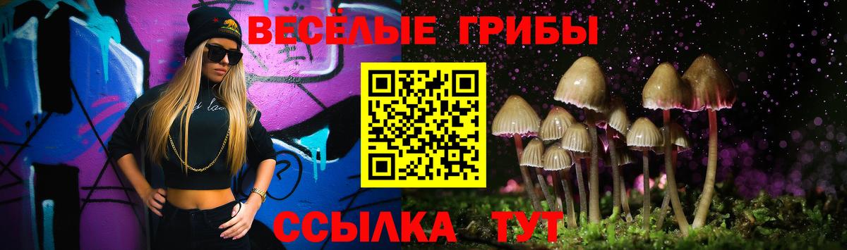 Галлюциногенные грибы Magic Shrooms Новосибирск